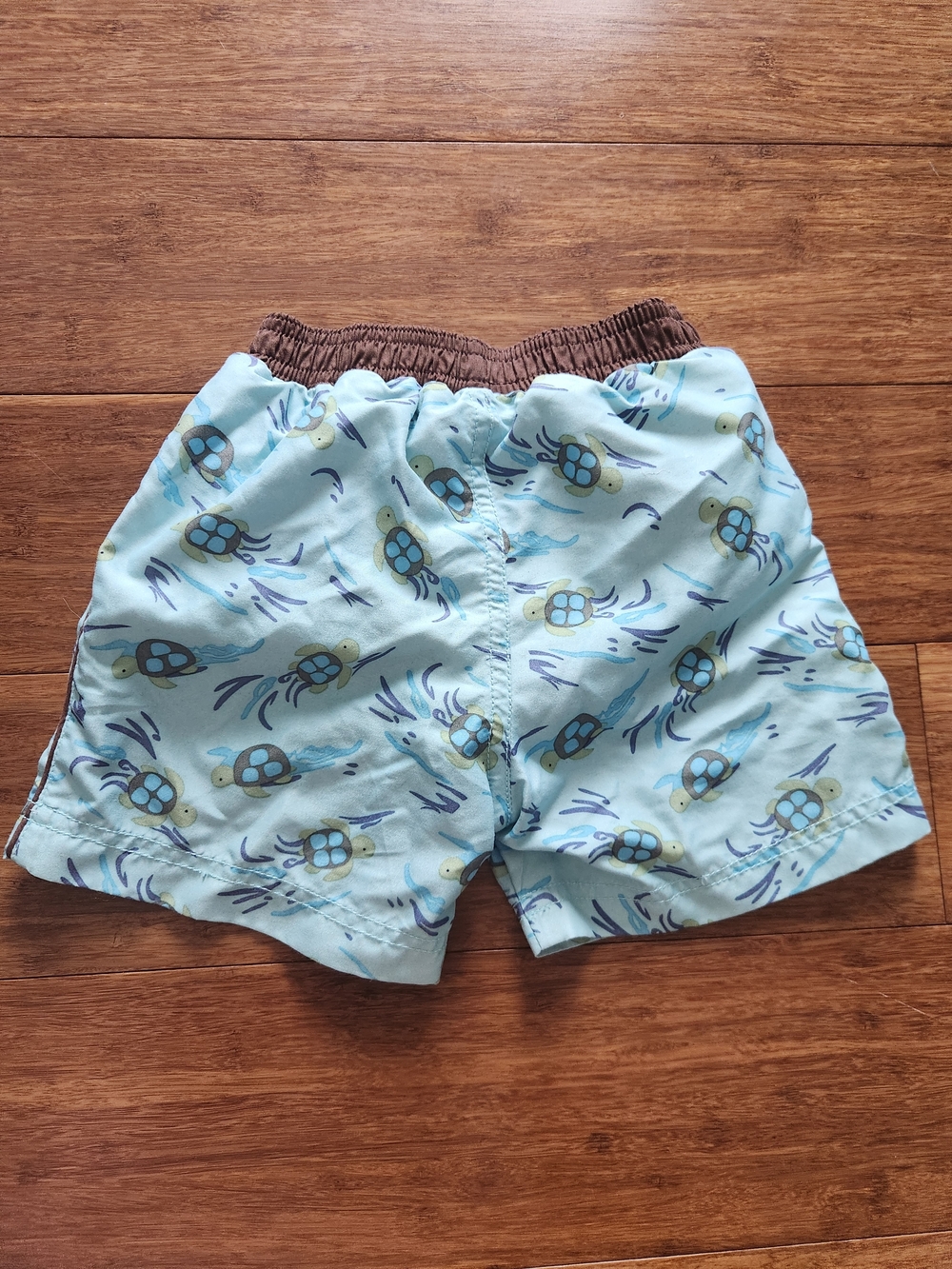 Gymboree Boys Turtle Swim Trunks With Lining, 12-18 Months